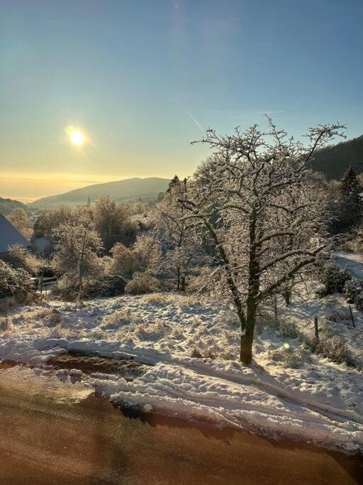 Gite Belle Vue Thannenkirch Esterno foto