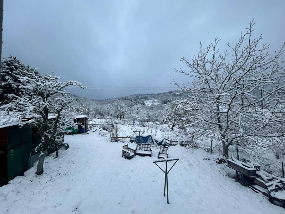 Gite Belle Vue Thannenkirch Esterno foto